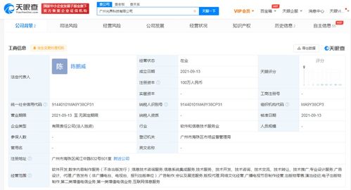 數(shù)字內(nèi)容制作服務(wù) 在信息時(shí)代打造引人入勝的視覺敘事